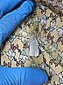 Max Studio Print Yellow Casual Dress Size S - photo 7
