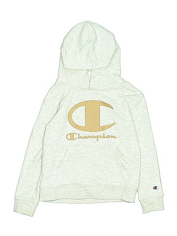 Champion Pullover Hoodie (view 1)