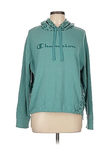 Champion Pullover Hoodie (view 1)