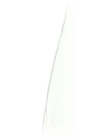 Ann Taylor LOFT Shorts (view 2)
