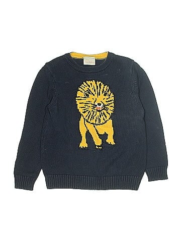 Hanna Andersson Pullover Sweater (view 1)