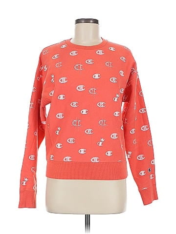 Champion Sweatshirt (view 1)