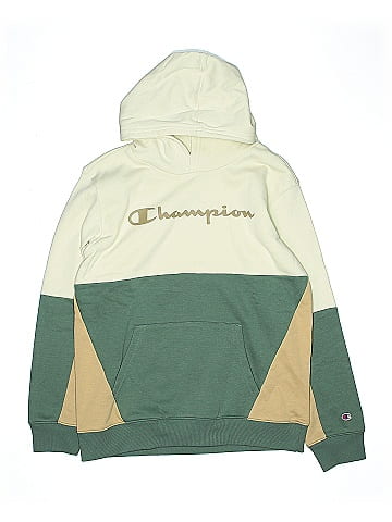 Champion Pullover Hoodie (view 1)