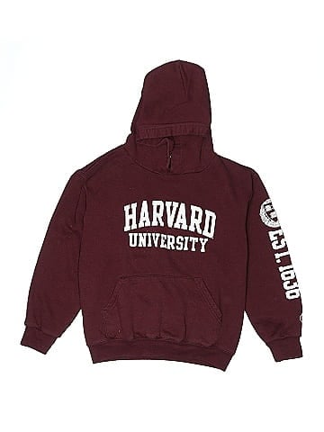 Champion Pullover Hoodie (view 1)