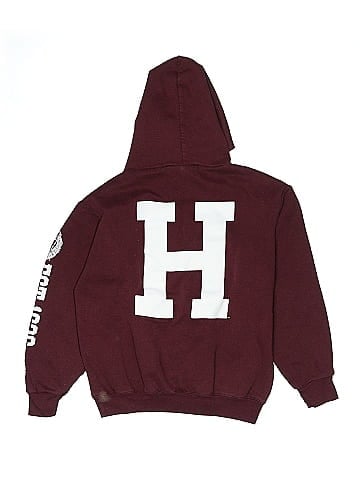 Champion Pullover Hoodie (view 2)