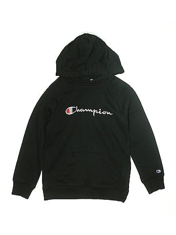 Champion Pullover Hoodie (view 1)