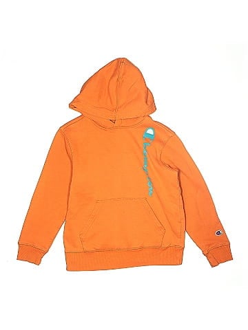 Champion Pullover Hoodie (view 1)