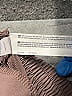Marika Solid Brown Casual Pants Size L - photo 5