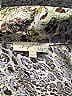 Mystree 100% Polyester Animal Print Silver Long Sleeve Blouse Size L - photo 7