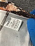 Shein Animal Print Brown Leggings Size XS - photo 4
