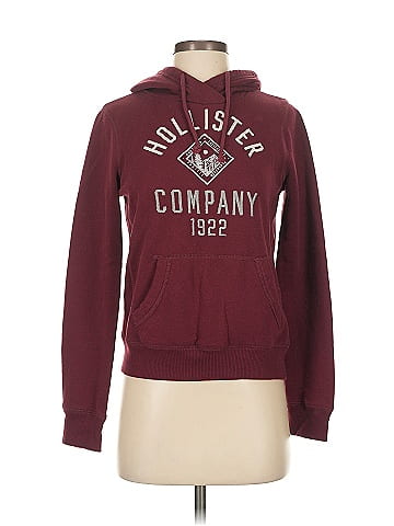 Hollister Pullover Hoodie (view 1)
