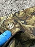 Lululemon Athletica Camo Green Active Pants Size 4 - photo 3