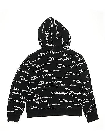 Champion Pullover Hoodie (view 1)