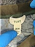 Tiny Green Long Sleeve Blouse Size XS - photo 7