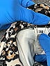 Onzie Animal Print Gold Shorts Size XS - photo 4