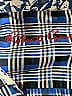Robert Graham 100% Cotton Tweed Blue Long Sleeve Button-Down Shirt Size 10 - 12 - photo 3