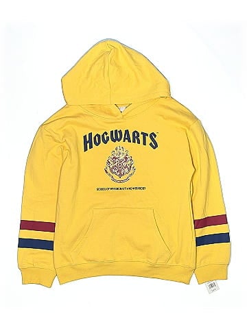 Harry Potter Pullover Hoodie (view 1)