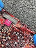 Vince Camuto 100% Polyester Red Long Sleeve Blouse Size XXS - photo 7