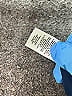 Talbots 100% Polyester Blue Casual Dress Size 2 - photo 8