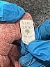 Kate Quinn Organics Tweed Tan Short Sleeve Onesie Size 6-12 mo - photo 3