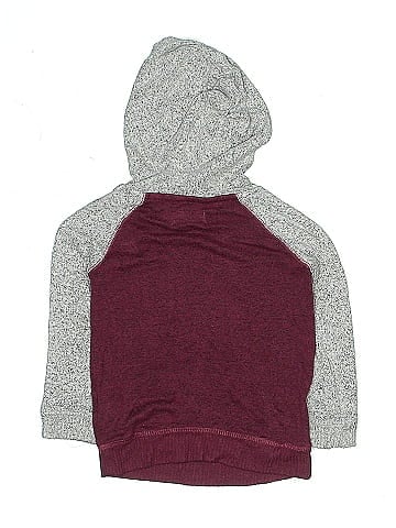Rumi + Ryder Pullover Hoodie (view 2)