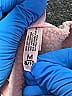 Unbranded Pink Sweatshirt Size 8 - 10 - photo 4