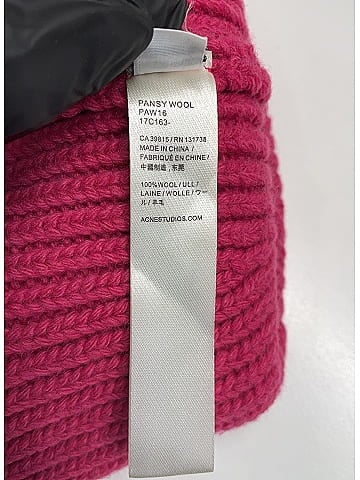 Acne Studios Pansy Wool Beanie (view 2)