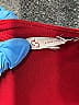 db established 1962 Red 3/4 Sleeve Blouse Size L (estimated) - photo 7
