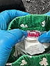 Disney Hearts Green Casual Pants 18-24 MO / 24 MO - photo 3