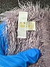 Charming Charlie Purple Pullover Sweater Size M - photo 8