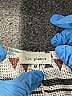 Blue Planet Ivory Cardigan Size M - photo 7