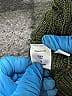Soho JEANS NEW YORK & COMPANY 100% Acrylic Green Pullover Sweater Size M - photo 8
