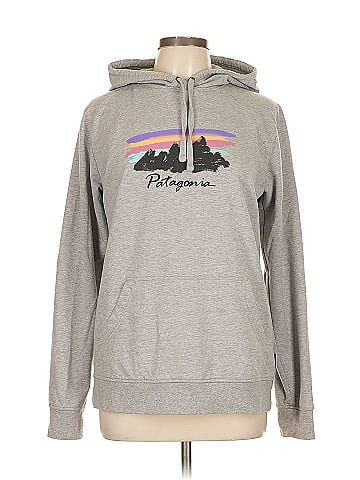 Patagonia Pullover Hoodie (view 1)