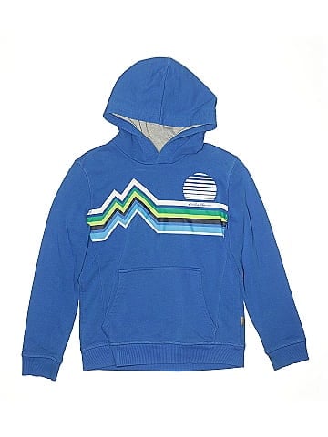 Eddie Bauer Pullover Hoodie (view 1)