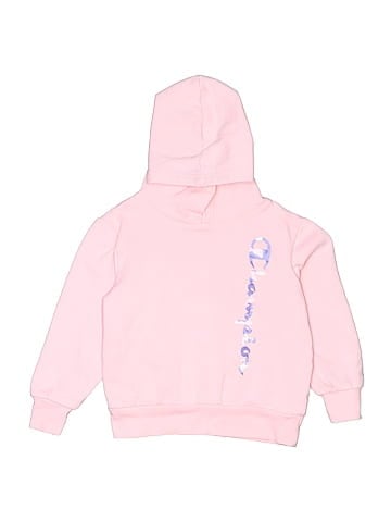 Champion Pullover Hoodie (view 1)