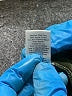 Venus Green Coat Size 10 - photo 8