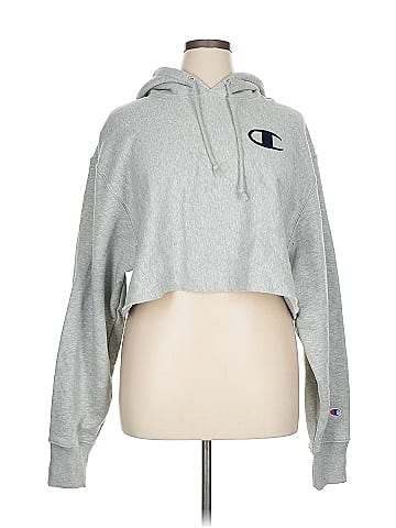 Champion Sweatshirt (view 1)