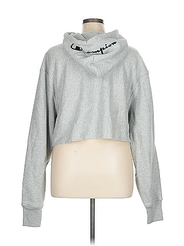 Champion Sweatshirt (view 2)