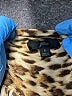 J.Crew 100% Polyester Animal Print Brown Long Sleeve Blouse Size S - photo 7