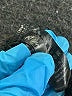 Assorted Brands Black Active Pants Size L - photo 4