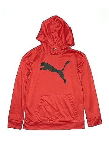 Puma Pullover Hoodie (view 1)