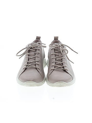 Ecco Flats (view 2)