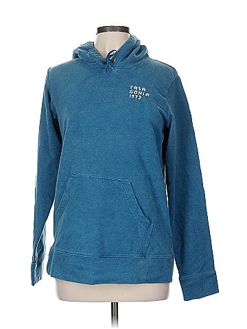 Patagonia Pullover Hoodie (view 1)
