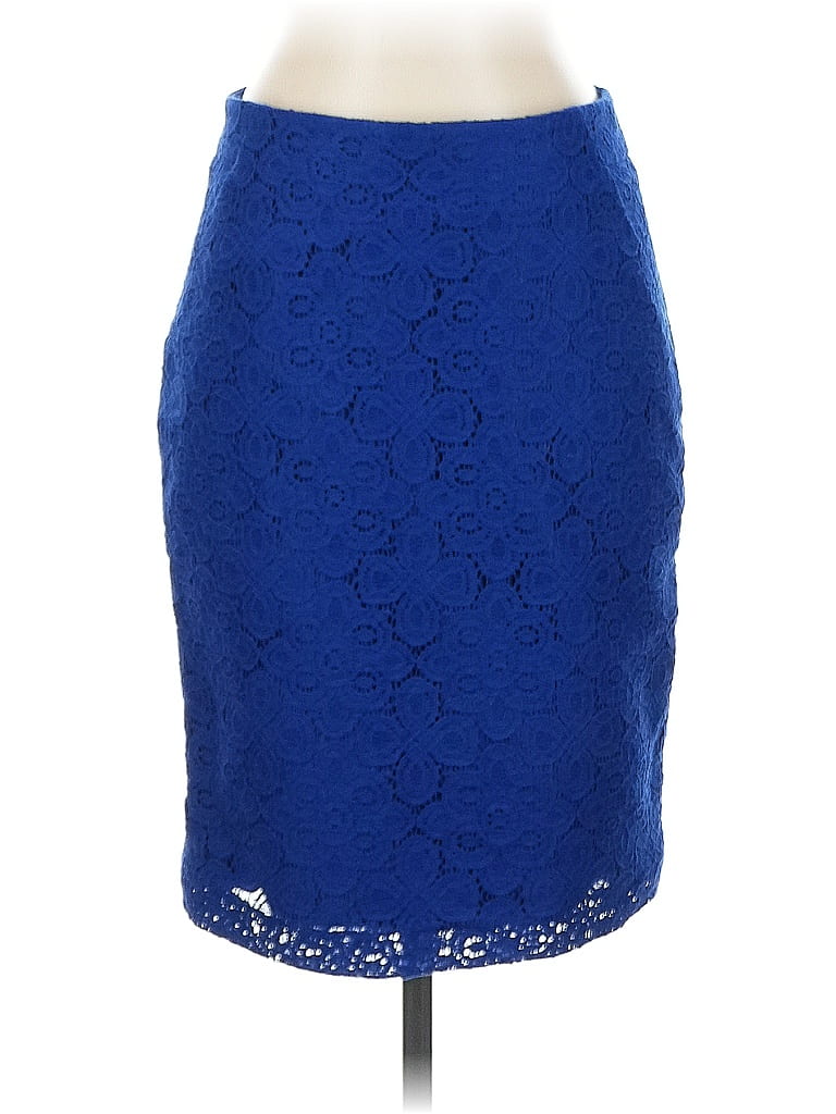 Pre-owned The Limited Formal Skirt In Blue
