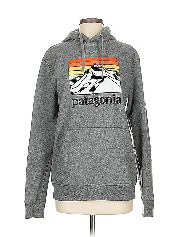 Patagonia Pullover Hoodie (view 1)