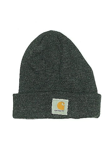 Carhartt Beanie (view 1)