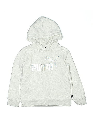Puma Pullover Hoodie (view 1)
