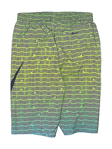 Nike Board Shorts (view 2)