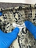 Mittoshop 100% Polyester Animal Print Silver Ivory Casual Pants Size M - photo 6