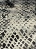 Bebe Animal Print Silver Shorts Size S - photo 3